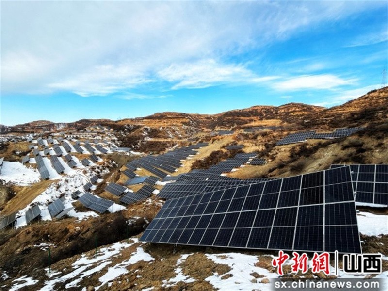 支散遊戲VS單機遊戲！天下最強事物究極大年夜治鬥