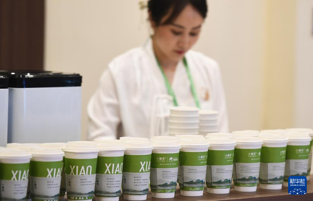 芭比服裝時尚品牌（芭比fashion係列）